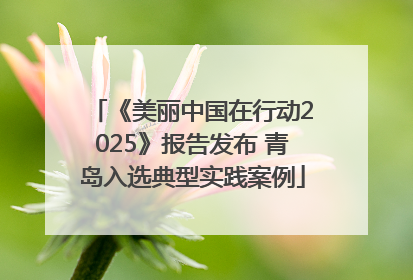 《美丽中国在行动2025》报告发布 青岛入选典型实践案例