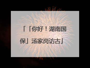 「你好！湖南国保」汤家岗访古
