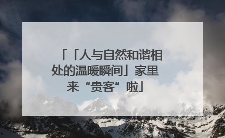 「人与自然和谐相处的温暖瞬间」家里来“贵客”啦