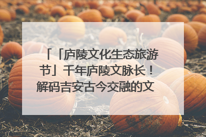 「庐陵文化生态旅游节」千年庐陵文脉长！解码吉安古今交融的文化图谱（图）