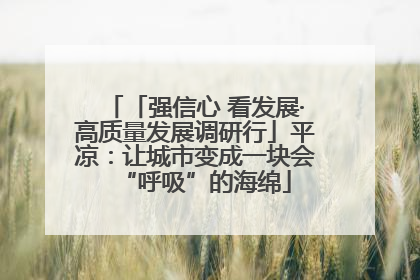 「强信心 看发展·高质量发展调研行」平凉：让城市变成一块会“呼吸”的海绵