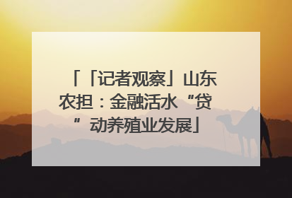 「记者观察」山东农担：金融活水“贷”动养殖业发展