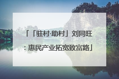 「驻村·助村」刘同旺：惠民产业拓宽致富路