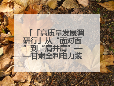 「高质量发展调研行」从“面对面”到“肩并肩”——甘肃全利电力装备生产制造项目一线见闻