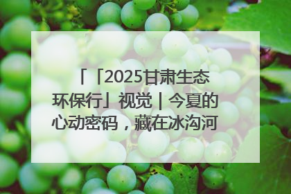 「2025甘肃生态环保行」视觉｜今夏的心动密码，藏在冰沟河的潋滟波光里