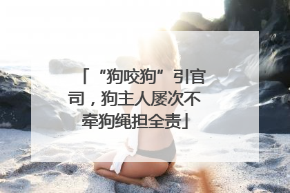“狗咬狗”引官司，狗主人屡次不牵狗绳担全责