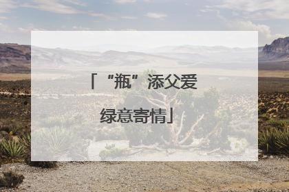 “瓶”添父爱 绿意寄情