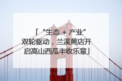 “生态 + 产业”双轮驱动，兰溪黄店开启高山西瓜丰收乐章