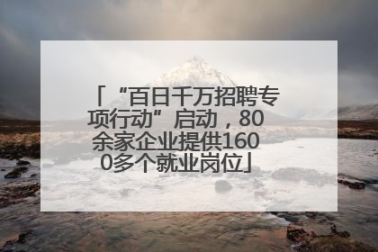 “百日千万招聘专项行动”启动，80余家企业提供1600多个就业岗位