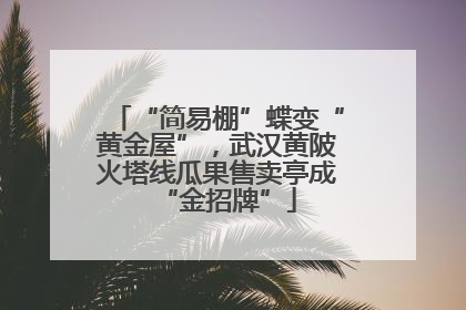 “简易棚”蝶变“黄金屋”，武汉黄陂火塔线瓜果售卖亭成“金招牌”