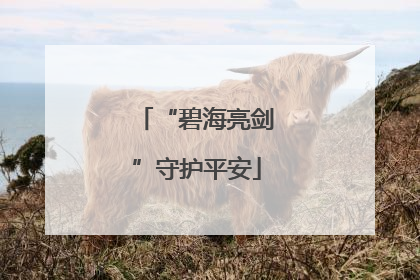 “碧海亮剑”守护平安
