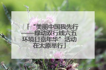 “美丽中国我先行——绿动双行线六五环境日嘉年华”活动在太原举行