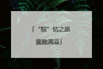 “粽”情之旅 童趣满溢