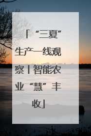 “三夏”生产一线观察丨智能农业“慧”丰收