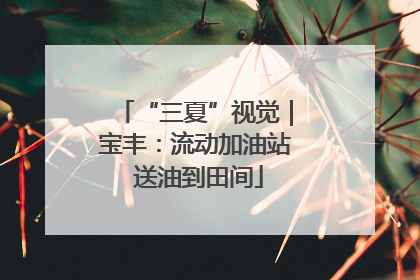 “三夏”视觉｜宝丰：流动加油站 送油到田间