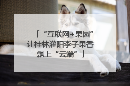 “互联网+果园”让桂林灌阳李子果香飘上“云端”