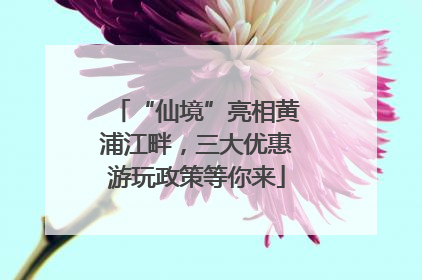 “仙境”亮相黄浦江畔，三大优惠游玩政策等你来
