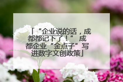 “企业说的话，成都都记下了！” 成都企业“金点子”写进数字文创政策