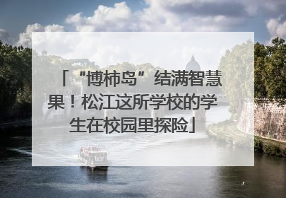 “博柿岛”结满智慧果！松江这所学校的学生在校园里探险