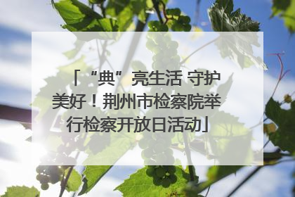 “典”亮生活 守护美好!荆州市检察院举行检察开放日活动