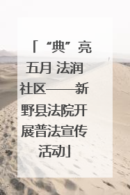“典”亮五月 法润社区——新野县法院开展普法宣传活动