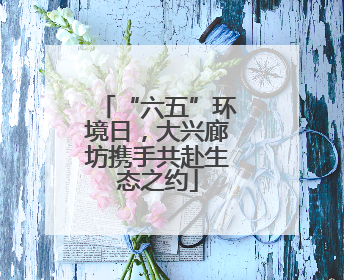 “六五”环境日，大兴廊坊携手共赴生态之约