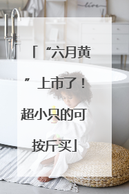 “六月黄”上市了！超小只的可按斤买
