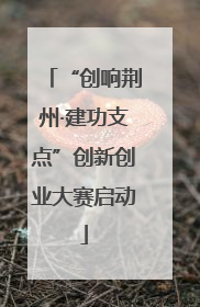 “创响荆州·建功支点”创新创业大赛启动