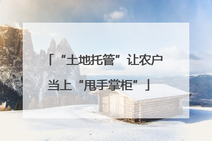 “土地托管”让农户当上“甩手掌柜”