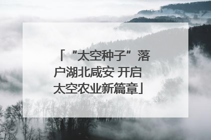 “太空种子”落户湖北咸安 开启太空农业新篇章