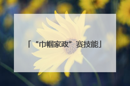 “巾帼家政”赛技能