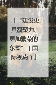 “建设更具凝聚力、更加繁荣的东盟”（国际视点）