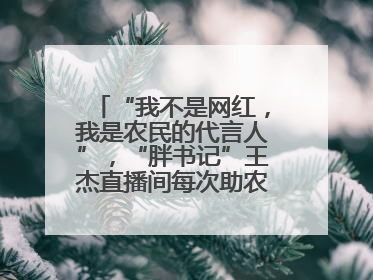 “我不是网红，我是农民的代言人”，“胖书记”王杰直播间每次助农卖货上万元