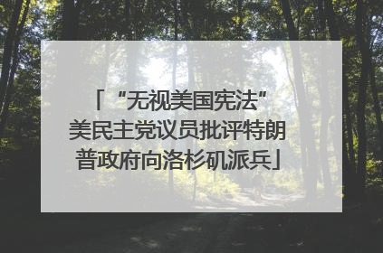 “无视美国宪法” 美民主党议员批评特朗普政府向洛杉矶派兵