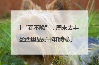 “春不晚”，周末去丰盈西里品好书和诗意