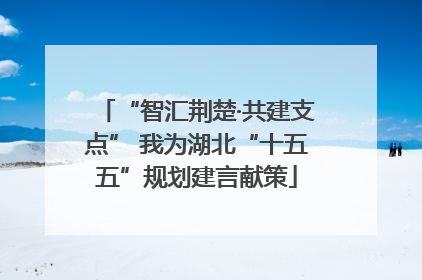 “智汇荆楚·共建支点” 我为湖北“十五五”规划建言献策