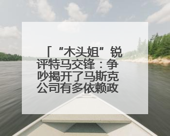 “木头姐”锐评特马交锋：争吵揭开了马斯克公司有多依赖政府合同