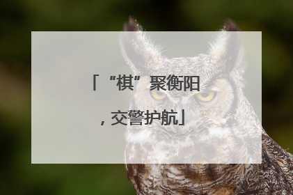 “棋”聚衡阳，交警护航