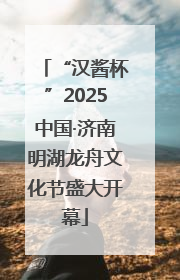 “汉酱杯”2025中国·济南明湖龙舟文化节盛大开幕