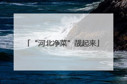 “河北净菜”靓起来