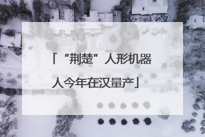 “荆楚”人形机器人今年在汉量产
