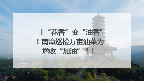 “花香”变“油香”！南漳巡检万亩油菜为增收“加油”！