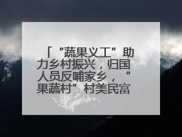 “蔬果义工”助力乡村振兴，归国人员反哺家乡，“果蔬村”村美民富香飘远近