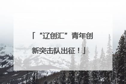 “辽创汇”青年创新突击队出征！