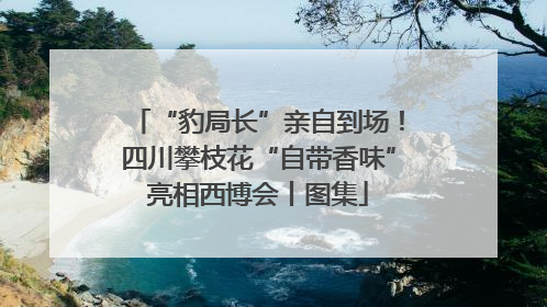 “豹局长”亲自到场！四川攀枝花“自带香味”亮相西博会丨图集