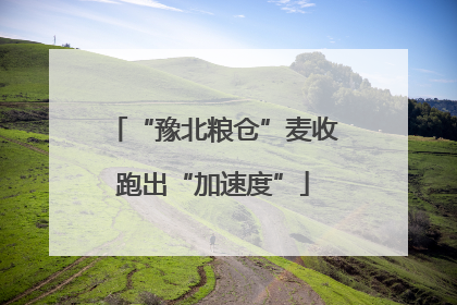 “豫北粮仓”麦收跑出“加速度”