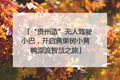 “贵州造”无人驾驶小巴，开启黄果树小黄鸭漂流智慧之旅