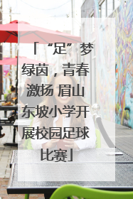 “足”梦绿茵，青春激扬 眉山东坡小学开展校园足球比赛