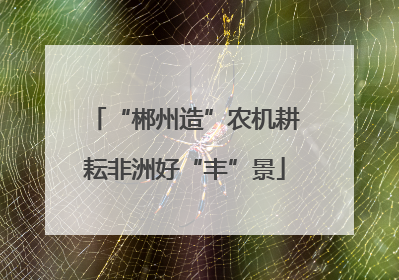 “郴州造”农机耕耘非洲好“丰”景