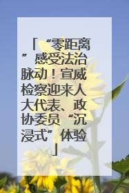 “零距离”感受法治脉动！宣威检察迎来人大代表、政协委员“沉浸式”体验